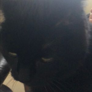 Meet your Posher, Heidi